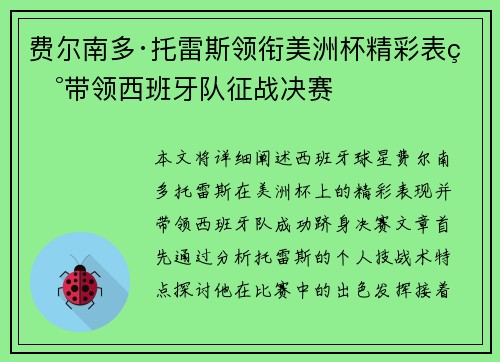 费尔南多·托雷斯领衔美洲杯精彩表现带领西班牙队征战决赛