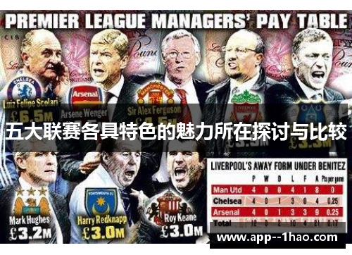 五大联赛各具特色的魅力所在探讨与比较