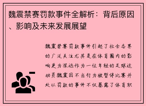 魏震禁赛罚款事件全解析：背后原因、影响及未来发展展望