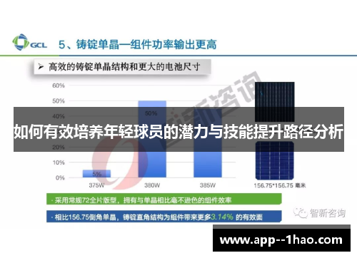 如何有效培养年轻球员的潜力与技能提升路径分析