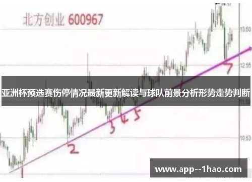 亚洲杯预选赛伤停情况最新更新解读与球队前景分析形势走势判断