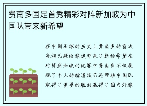 费南多国足首秀精彩对阵新加坡为中国队带来新希望